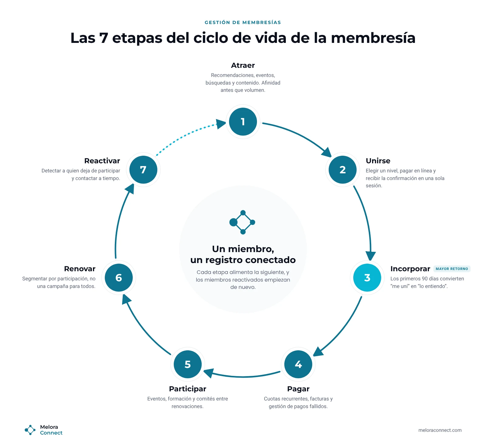 Diagrama de las etapas del ciclo de vida de la membresía: atraer, unirse, incorporar, pagar, participar, renovar y reactivar, en un ciclo alrededor de un único registro de miembro conectado
